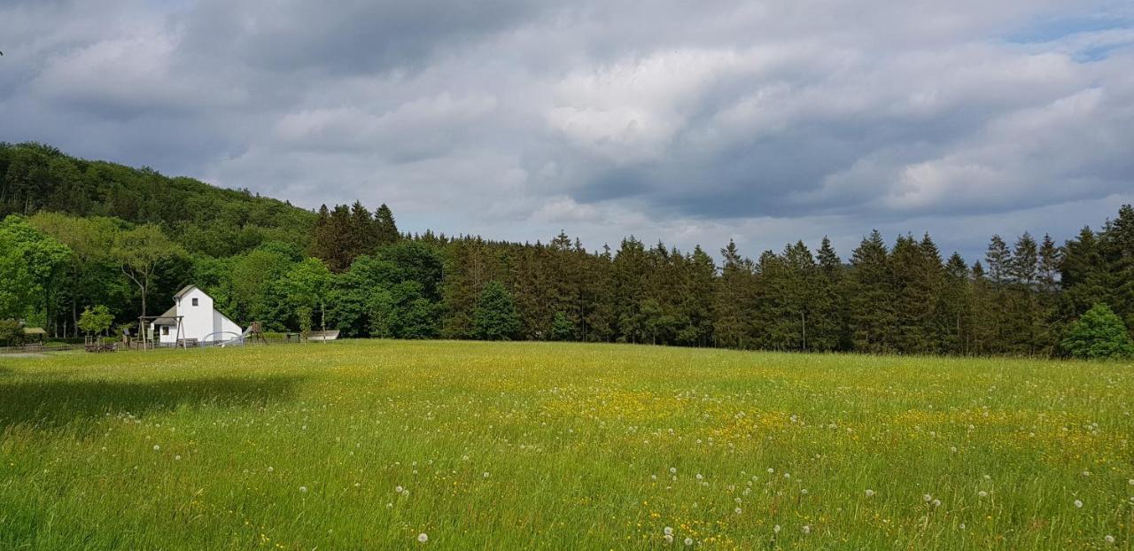 Villa Winterberg Mollseifen Zewnętrze zdjęcie